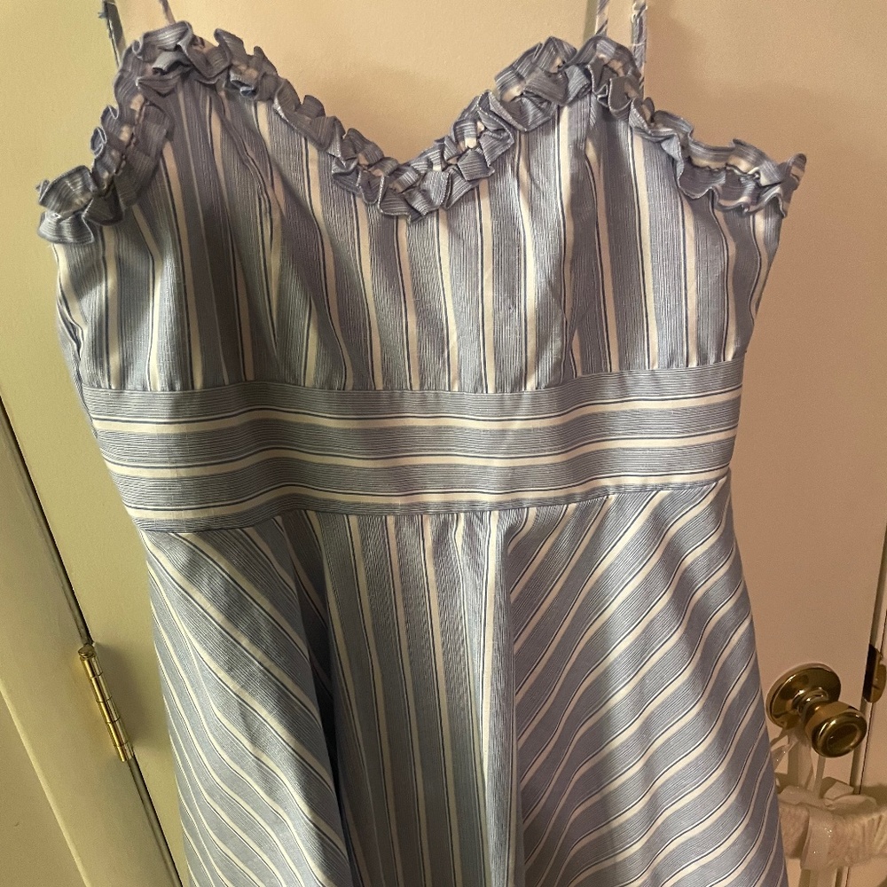 XL Trixxi Dress